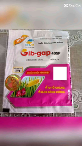 1 hộp 15 gói gibgab 40SP GA3 gói 25gram gibberellic Acid thúc đẩy ra đọt bông lớn trái to rụng trái