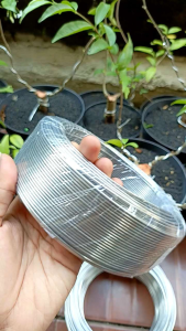 Kawat Bonsai Aluminium Silver 1 Kg: Penggunaan & Manfaat