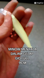 UMPAN PANCING LURE CASTING MINOW FULL GLOW IN DARK 9CM/8GR