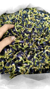 1 KG HOA ĐẬU BIẾC KHÔ