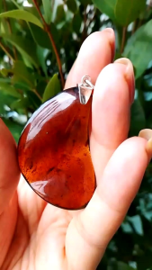 ก-6 จี้อำพันพม่า เงินแท้925โดยช่างไทย อำพันฟอสซิลยางไม้กลายเป็นหินธรรมชาติจากประเทศพม่า เมืองคะฉิ่ง (Myanmar Amber)อำพันแท้100% ขนาด 8.9g 47.9×29.3×11.8mm