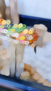 กบยางรุ่นA2 แบบชุดเซ็ต คละสี