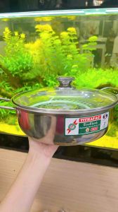 Nồi lẩu vung kính kèm xửng hấp TITHAFAC Cao cấp - Nồi lẩu hấp inox nắp kính đa năng tiện dụng