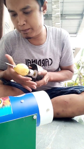 Alat Kentang Curly Viral & Promo Termurah Berkualitas Tinggi