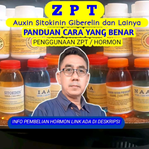 ZPT CPPU  kelompok hormon sitokinin pembesar tunas dan buah penumbuh bud anggur memperpanjang usia tanaman 100ml 500ppm