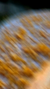 กระยาสารท นำ้อ้อย แท้ๆ มะพร้าวอ่อน เครื่องแน่นๆ ข้าวตอก ข้าวพอง ขนมไทย ขนมเทศกาล ของฝาก