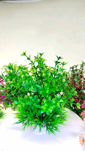 Hiasan Aquarium Rumput & Kembang Aquascape