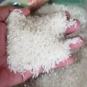 BUCO PANDAN Premium Rice Freshly Milled 25KG Coconut Rice with Pandan Flavor