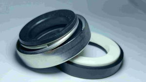 Mechanical seal 40mm SHS B65XS68X12.5 | Shaft seal for water pump