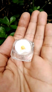 Batu mustika Buntat emas