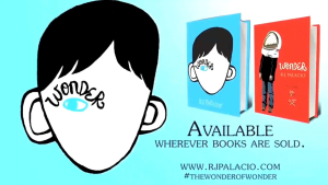 【Ready Stock】Wonder by R.J. Palacio paperback