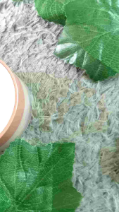 Hanasui Perfect Fit Setting Powder