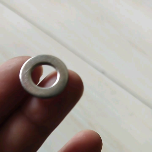 (10pcs) RING PLATE M8 STAINLESS. RING PLAT M8 STAINLESS. RING PLATE M8 SS.