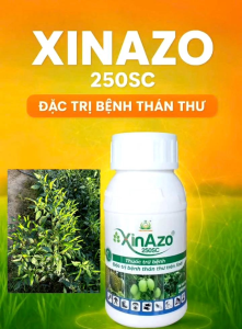 Mua 01 chai Xinazo 100ml sử dụng 4 đến 5 bình 20 lít tặng thêm 01 chai bám dính thấm sâu hiệu VietUp 50ml xử lý được thán thư vàng lá chết cành sương mai đốm lá trên ớt