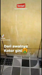 Pembersih Kerak Keramik dan Porselen Ampuh Free Kuas - KLINXY Porcelain & Ceramic Cleaner Cairan Porselen 500Ml Garansi Supplier 1 Bulan - Lazada