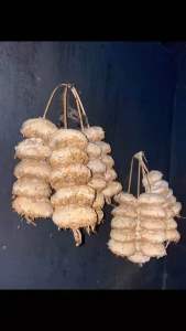 5 quả men lá ủ cơm rượu truyền thống Lạng Sơn (ủ với 10kg gạo nấu chín)