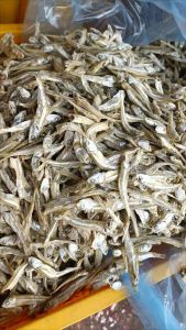 Anchovies Ikan Bilis Mata Biru Kasar / Ikan Bilis Pangkor 5A