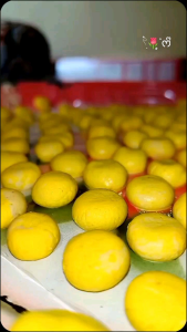 Bedak dingin Beras Asam Jawa