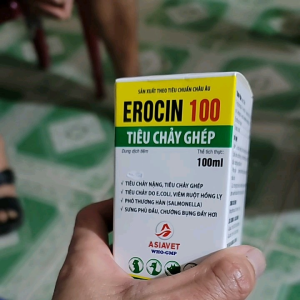 Chai EROCIN 100 Tiêu Chảy Ghép Chướng Bụng Đầy Hơi Cho Thú Cưng