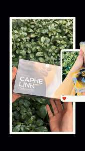 Cà Phê Hòa Tan Thảo Dược 3 In 1 Caphelink New (Hộp 20 gói x 16g)