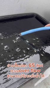 อ่างเลี้ยงปลา 65 ลิตร ระบบoverflow 64x44x31ซ. สามารถปรับระดับน้ำ และถอดท่อเปลี่ยนน้ำได้ กะบะเลี้ยงปลา อ่างเลี้ยงปลา อ่างปลาสวยๆ