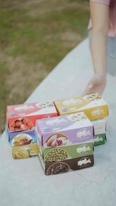 Paket 3 Kotak Bakpia Pahtok Raizhel Kering Isi 16