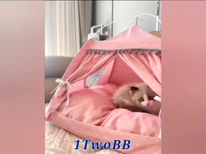 Cat Tent Cat House Foldable Pet House Pet Sleeping Bed Pet Tent Cat bed  Tilam Kucing Rumah Kucing