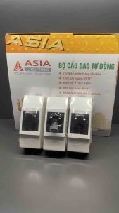 Cầu dao tự động aptomat 2P1E ASIA vỏ trắng và vỏ đen