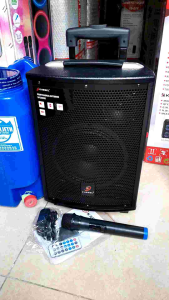 5800W Professional Outdoor Blluetooth Karaoke Speaker with adjustable Bass Treble Echo FREE Wireless Microphone FREE USB SONGS FREE Charger FM Radio AUX-IN USB Playback 8158