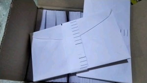 White Envelop "Puting Sobre" Long & Short 50pcs & 100pcs per Pack