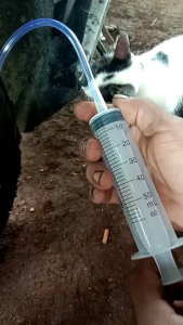 Spuit 50 cc & Selang Kuras Minyak Rem: Panduan Lengkap