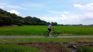 PANTHER ARTEMIS XC MTB Entry Level Adult Youth Student Full Suspion Lock-out Fork Aluminum Frame SHIMAO 24-speed 26" inch Tire Front Wheel Quick Release