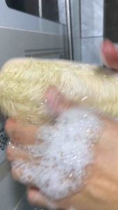 [Hàng đẹp] Bông tắm xơ mướp loại lớn có quai cầm giúp massage da và loại bỏ tế bào chết nhẹ nhàng- Xơ thượng hạng xuất Mỹ