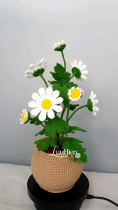 Chậu hoa len móc handmade hoa cúc Daisy – quà tặng decor để bàn xinh xắn | LuuHienYarn