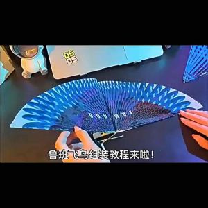 Đồ Chơi Chim Tự Động Bay Lượn Bằng Dây Thun - Giá Sỉ Tận Gốc Lắp Ráp Cực Dễ