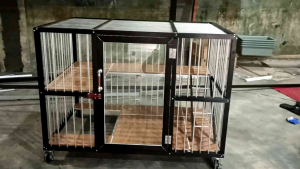 Kandang Kucing 1 Kamar Minimalis