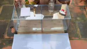 Tranh 3D Dán Hồ Cá Dán Bể Cá Mẫu Thủy Sinh Phù Hợp Cá Benta Guppy... Tặng Kèm Tem Cảnh Báo Tranh Dán Chất Liệu Nhựa Kích Thước Đa Dạng Cho Tranh Bể Cá - Lazada