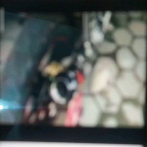 Knalpot Racing Akrapovic Lorenzo Vixion R15 V2 /V3 new GSX BISON SatriaFU SONIC MX CBR150 NewCB CBR lokal Verza Megapro SUPRA GTR Scorpio thunder Pulsar 200NS dll