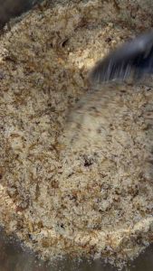 ปลาแห้งแตงโม หน้าปลาแห้ง ปลาแห้งโรยข้าวเหนียว บ้านอารีย์