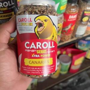 CAROLL Kenari Pakan penggacor kenari solusi macet bunyi mabung bermasalah mabung tuntas