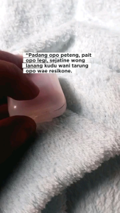 ECER - BULLBULL KAPSUL ISI 4 KAPSUL