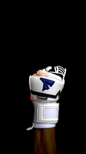 Bonus id nama Sarung tangan kiper Pgs winner St terbaik