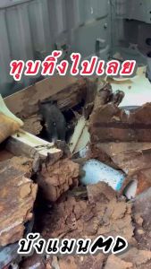 นีออนหัวเชื้อสลายคราบล้างรถ mdcleancar