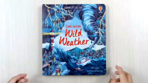 Usborne Look Inside Wild Weather
