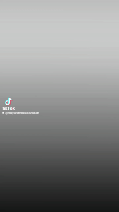 Inverter platina baja widia 1000 watt full kondensor