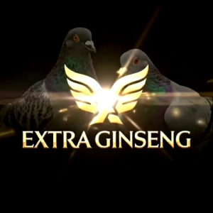 EXTRA GINSENG 100 BUTIR jamu merpati kolong los door stut door jedor raja pukul doping merpati balap