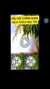 HÀNG CTY-1 HỘP 10 GÓI Dầu Gội Thảo Dược Mọc Tóc Gừng Jurong - Jurong Chống Gãy Rụng Tóc Đen Tóc Chống Gàu Ngứa Nấm