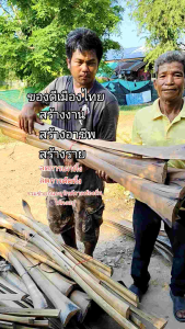 ก้านตาลแห้ง สร้างสรรค์ทำ DIY.3 อันยาว100ซ.มคัดพิเศษออกใหม่สวยทุกก้าน