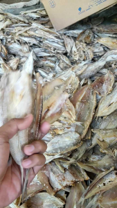 ikan Asin bloso / boso super kering ( tawar tidak terlalu asin ) isi 1kg