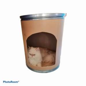 บ้านน้องแมว: บ้านน้องแมว น้องสุนัข น่ารัก แข็งแรงเด็กๆชอบ